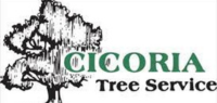 Cicoria Tree and Crane Service Groveland